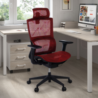 Sedia Ergonomica Winter, Supporto Lombare, Poggiatesta