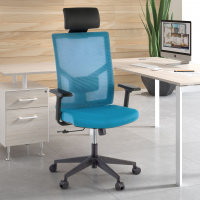 Sedia Ufficio Ergonomica Verdi, braccioli regolabili, con poggiatesta