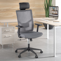 Sedia Ufficio Ergonomica Verdi, braccioli regolabili, con poggiatesta