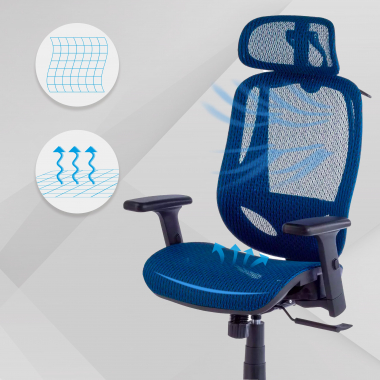 Ergonomica