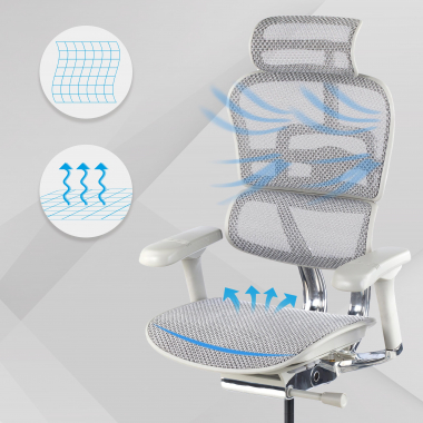 Ergonomica