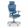Sedia Ergonomica Ergohuman V2, seduta imbottita, struttura nera