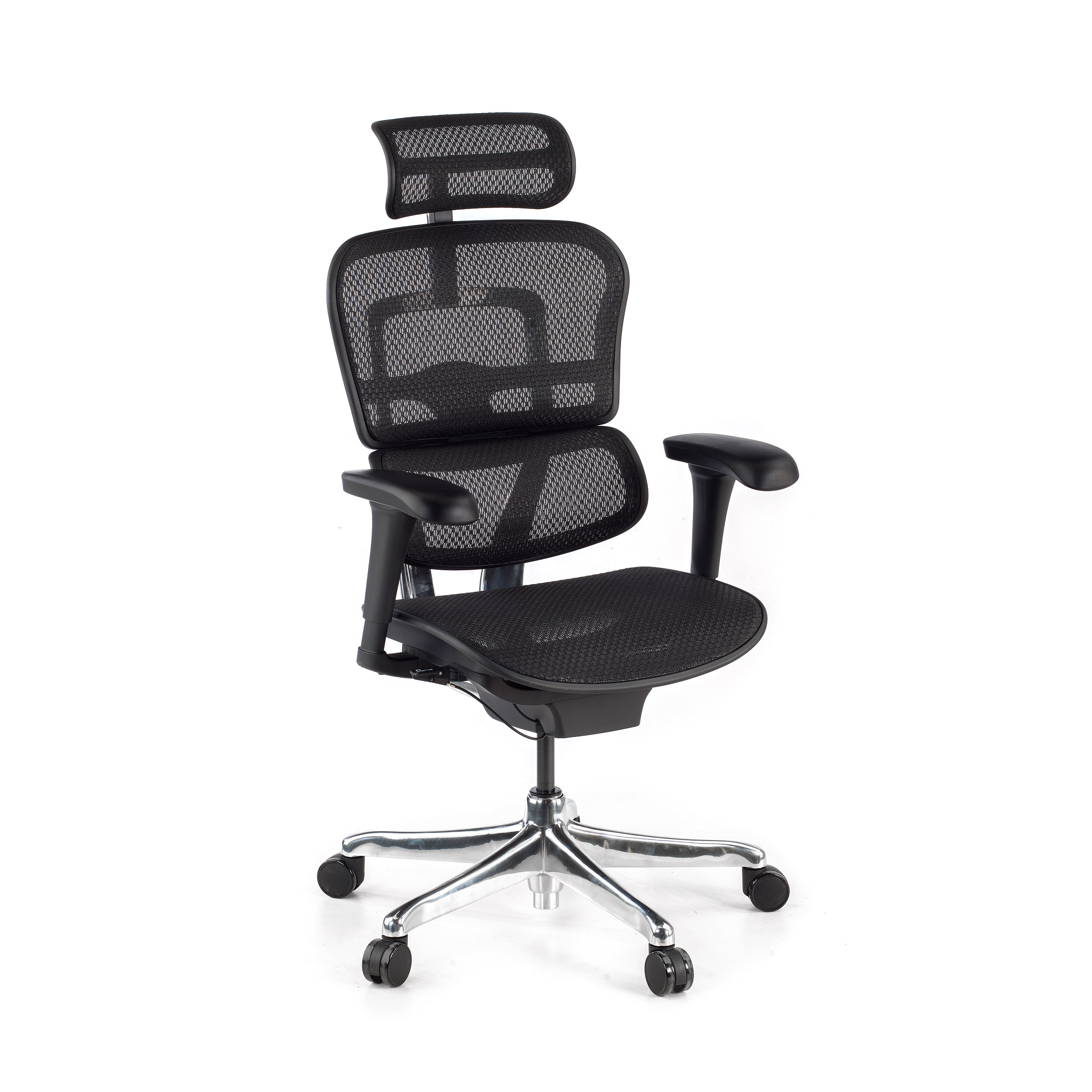 Sedia direzionale ergonomica Ergohuman Edition I, Struttura nera