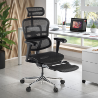 Sedia ergonomica con poggiapiedi Ergohuman Edition I, modello premium