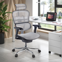 Sedia direzionale ergonomica Ergohuman Edition I, Struttura nera