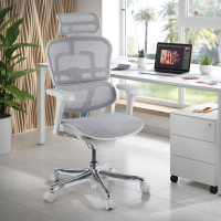 Sedia direzionale ergonomica Ergohuman Edition I, Struttura bianca