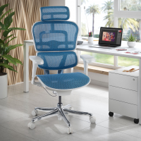 Sedia direzionale ergonomica Ergohuman Edition I, Struttura bianca