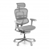 Sedia Ergonomica Ergohuman Elite, pelle naturale