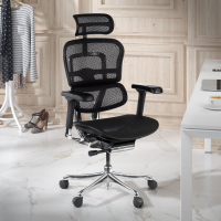 Sedia direzionale ergonomica Ergohuman Elite, Struttura nera