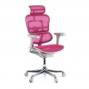 Sedia Ergonomica Ergohuman V2, seduta imbottita, struttura nera