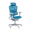 Sedia Ergonomica Ergohuman Elite, pelle naturale