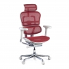 Sedia direzionale ergonomica Ergohuman Elite, Struttura bianca