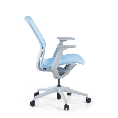 Ergonomica