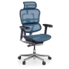 Sedia direzionale ergonomica Ergohuman Elite, Struttura nera