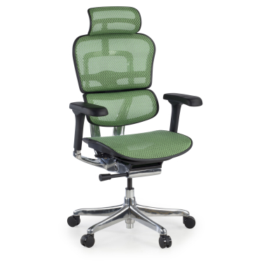 sedia ergonomica verde struttura nera rete rete transpirante braccioli regolabili 5d poggiatesta 1