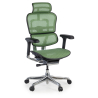 Sedia direzionale ergonomica Ergohuman Elite, Struttura nera