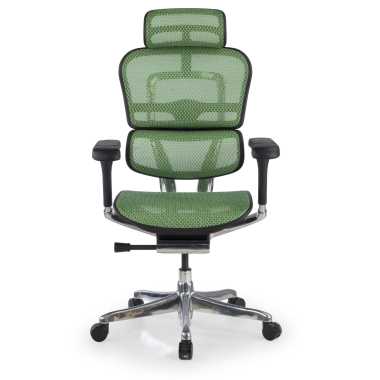 sedia ergonomica verde struttura nera rete rete transpirante braccioli regolabili 5d poggiatesta 3