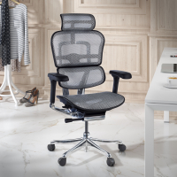 Sedia direzionale ergonomica Ergohuman Elite, Struttura nera