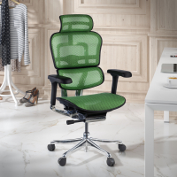 Sedia direzionale ergonomica Ergohuman Elite, Struttura nera