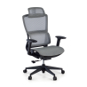 Sedia da Ufficio Ergonomica Balance Pro White, Braccioli 3D