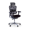 Sedia Ergonomica Ergohuman Elite, pelle naturale