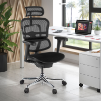 Sedia Ergonomica Ergohuman V2, seduta imbottita, struttura nera