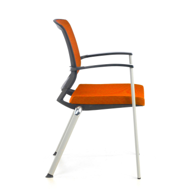 Professionale