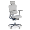Sedia direzionale ergonomica Ergohuman Elite, Struttura bianca