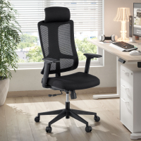 Sedia Ufficio Ergonomica Team2, Professionale, uso intensivo
