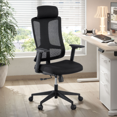 Ergonomia