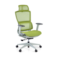 Bianco/verde