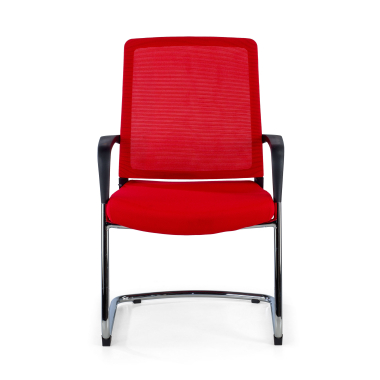 Professionale
