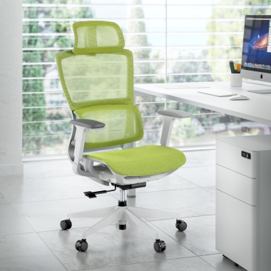 Design Ergonomico