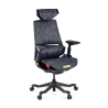 Sedia da Gaming Ergonomica BloodDragon