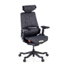 Sedia da Gaming Ergonomica BloodDragon