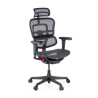 Sedia Ergohuman Ultra Gaming Edition Black Carbon