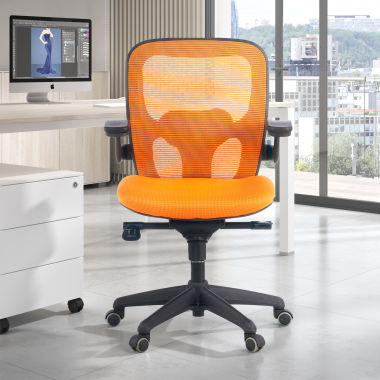 Ergonomica