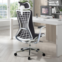 Sedia Ergonomica...